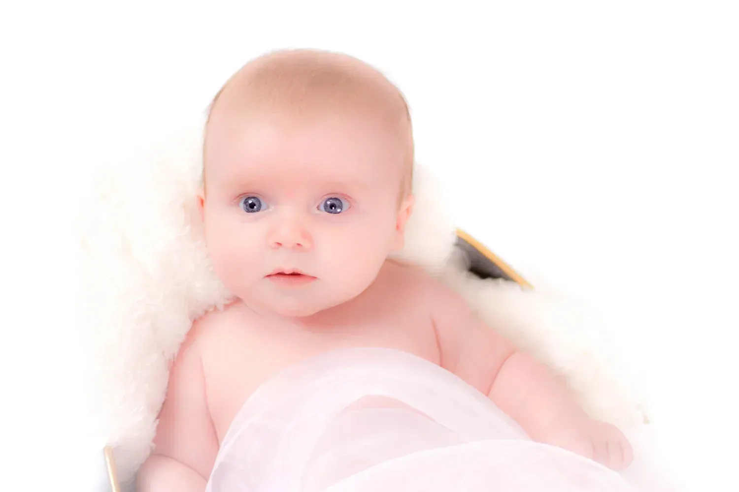 Newborn photographed against a plain backdrop with soft, even light